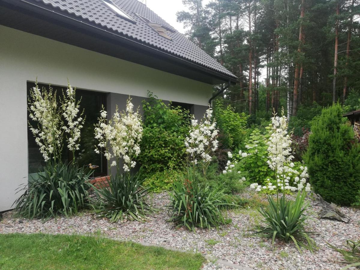 Cudodomek Spa W Mrozach Wielkich Kolo Elku Экстерьер фото